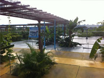 ��ӯ�ᡤ[�й�]�ٷ���վ